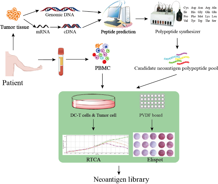 Neoantigen Precision Discovery Platform